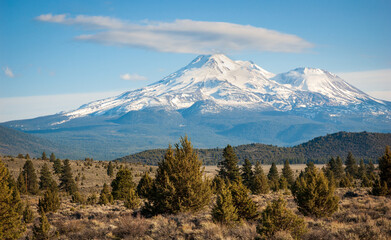 Mount Shasta View at the National Forest