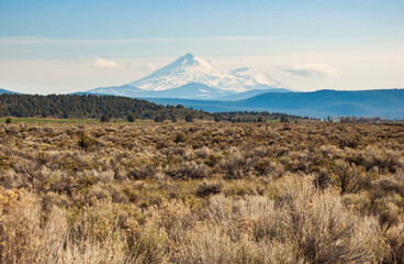 Mount Shasta View at the National Forest