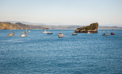 Obraz premium The Pacific Coast on a Summer Morning at Trinidad Bay