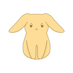 正面を向いた茶色のウサギ