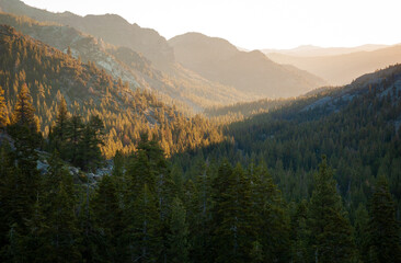 Morning at Stanislaus National Forest
