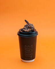 Small rainbow boa sits on a coffee cup on bright orange background. A black coffee cup with a small snake on the lid. Exotic pet in the studio. High quality vertical photo of Epicrates cenchria