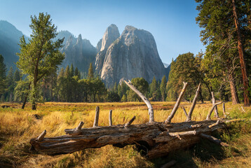 Fototapeta na wymiar Yosemite Valley in Yosemite National Park