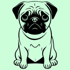 Fototapeta premium pug dog vector isolated