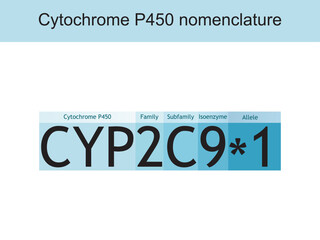 Cytochrome P450 CYP2D6 nomenclature diagram showing family, subfamily, enzyme and allele. Scientific illustration for biochemistry, pharmacology, biology education.