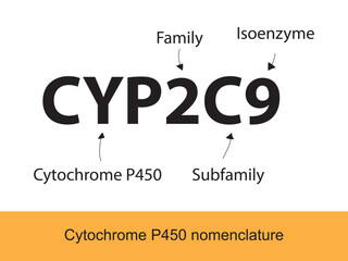 Obraz premium Cytochrome P450 CYP2D6 nomenclature diagram showing family, subfamily, enzyme and allele. Scientific illustration for biochemistry, pharmacology, biology education.