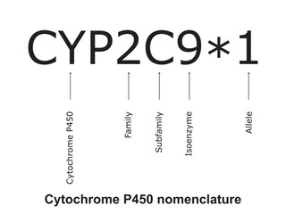 Cytochrome P450 CYP2C9 nomenclature diagram showing family, subfamily, enzyme and allele. Scientific illustration for biochemistry, pharmacology, biology education.