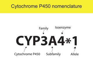 Cytochrome P450 CYP3A4 nomenclature diagram showing family, subfamily, enzyme and allele. Scientific illustration for biochemistry, pharmacology, biology education.