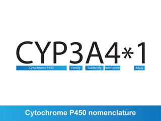 Cytochrome P450 CYP3A4 nomenclature diagram showing family, subfamily, enzyme and allele. Scientific illustration for biochemistry, pharmacology, biology education.
