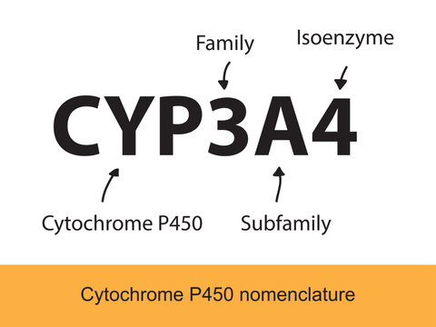 Cytochrome P450 CYP3A4 nomenclature diagram showing family, subfamily, enzyme and allele. Scientific illustration for biochemistry, pharmacology, biology education.