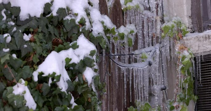 Closeup of melting icicles in spring