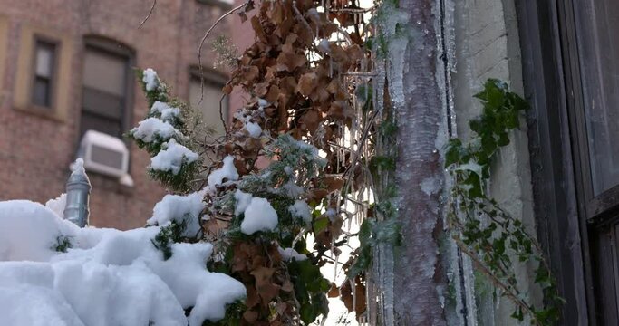A melting icicles, against the background of buildings at the end of winter, the concept of spring