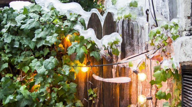 Time-lapse of melting ice from green plants and wooden fences,  end of winter concept
