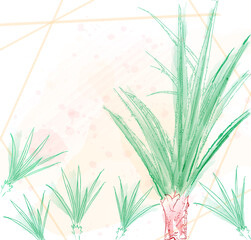 Aloe vera card Vector tropical watercolor