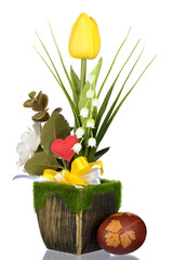Easter egg. Yellow tulips in green can with light background.