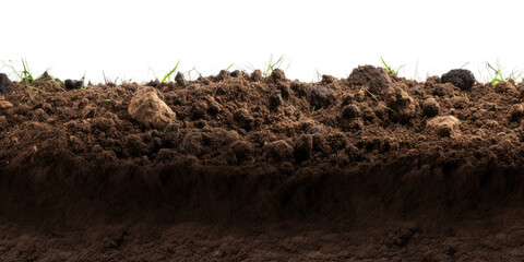 Ground on clear background. Ai generated