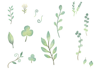 watercolor set of green leaves, hand drawn PNG on transparent background.