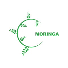 green moringa leaf logo, for herbal ingredients, moringa farming, health, medicine industry, beauty, therapy, concept design vector illustration icon template with a modern concept