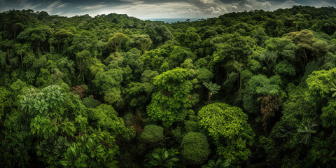 Tropical forest. Jungle. Drone point of view. Ai generated. 