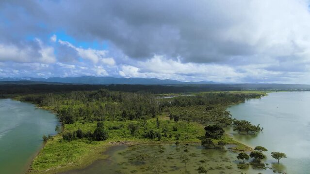 Aerial view of green forest and river in Urunga, NSW, Australia