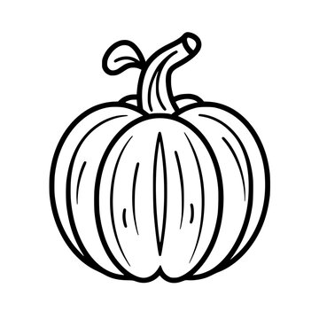 Pumpkin vector illustration isolated on transparent background