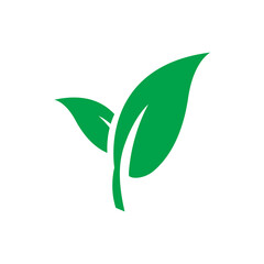 Plant icon. Leaf eco sign. Plant organic element