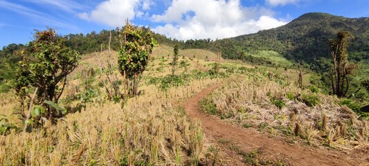 trekking routes in thailand , mountains in thailand , camping sites