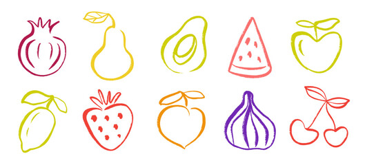 Organic fruit drawing set vector illustration