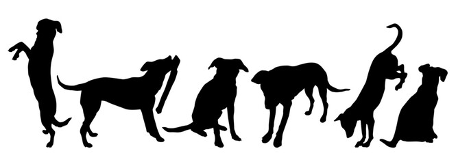 Dogs silhouettes isolated