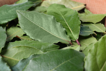 Many fresh bay leaves, closeup. Spices for cooking