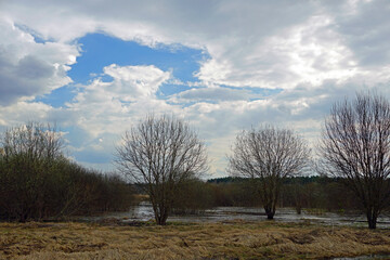 Fototapeta na wymiar Nature comes alive, spring mood. April. Nice day by the lake
