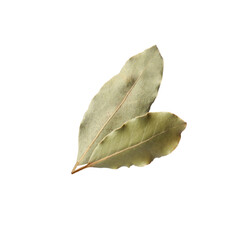 Two aromatic bay leaves on white background
