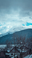 landscape with snow