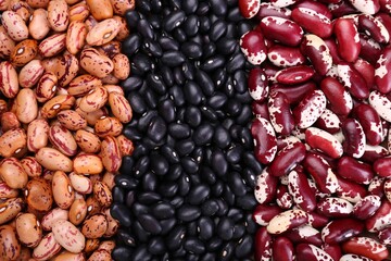 Different kinds of beans as background, closeup