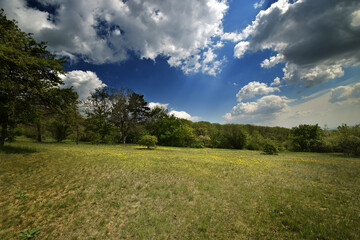 Obraz premium Beautiful view of a field under a beautiful sky
