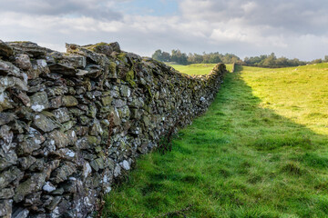 Early morning light on meadow with stone wall near Bowston, Cumbria, England