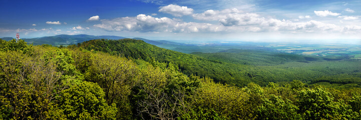 Naklejka premium Panoramic shot of a forest with hills and a plain in the background