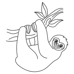 Funny sloth cartoon characters vector illustration. For kids coloring book. © deny