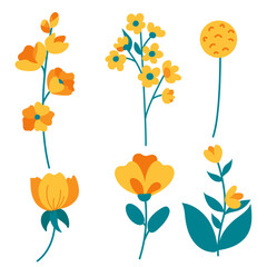 Vector floral set. Leaves and flowers floral illustration