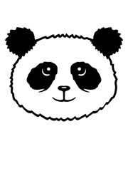 Panda Bär Gesicht Niedlich Kopf Süß Lächeln Nett