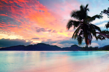 Palmen am tropischen Ozean im Sonnenuntergang