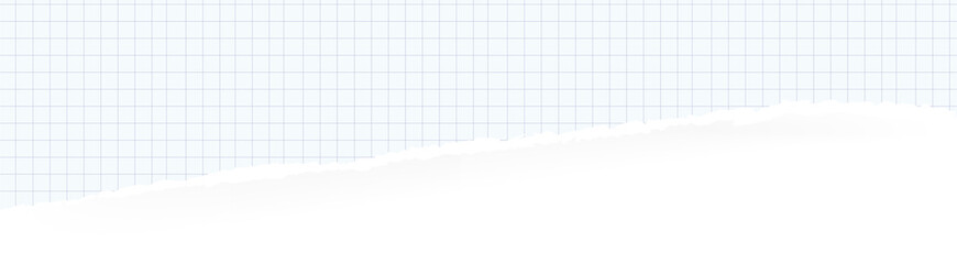 Ripped  Grid Paper