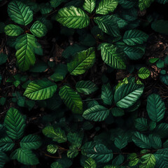 Leaves of trees in different times of the year - Laub von B&auml;umen in den Jahreszeiten