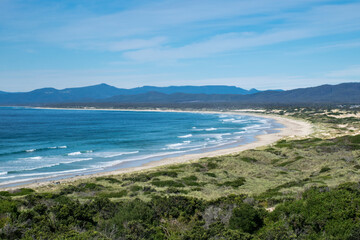 Fototapeta na wymiar Beach along the coast of St Helens Conservation Area in Tasmania, Australia