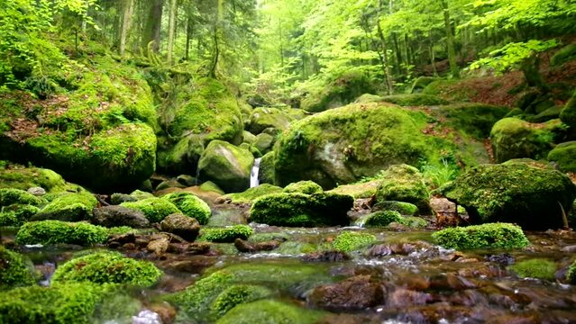Landscape with water stream flowing over rocks in a forest in Germany