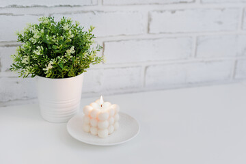 Burning white bauble candle with green plant on the table near brick wall