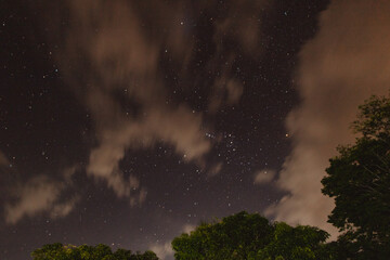 sky with stars and clouds in the forest