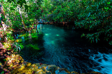 Water Hole Tiwi Islands Northern Territory Australia