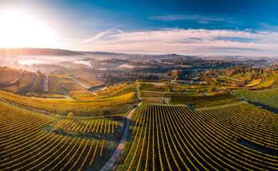 Fototapeta premium High angle view of a beautiful forest in Germany