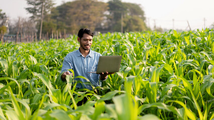 Smart farmer using laptop to examining quantity and quality crop © Katcha